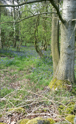 Pool Bank Farm